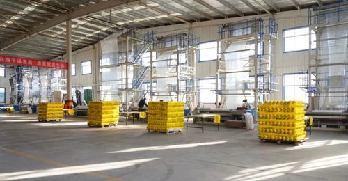 靜寧“歸雁工程”再結(jié)碩果，重點(diǎn)項目竣工投產(chǎn)助力縣域經(jīng)濟(jì)高質(zhì)量發(fā)展
